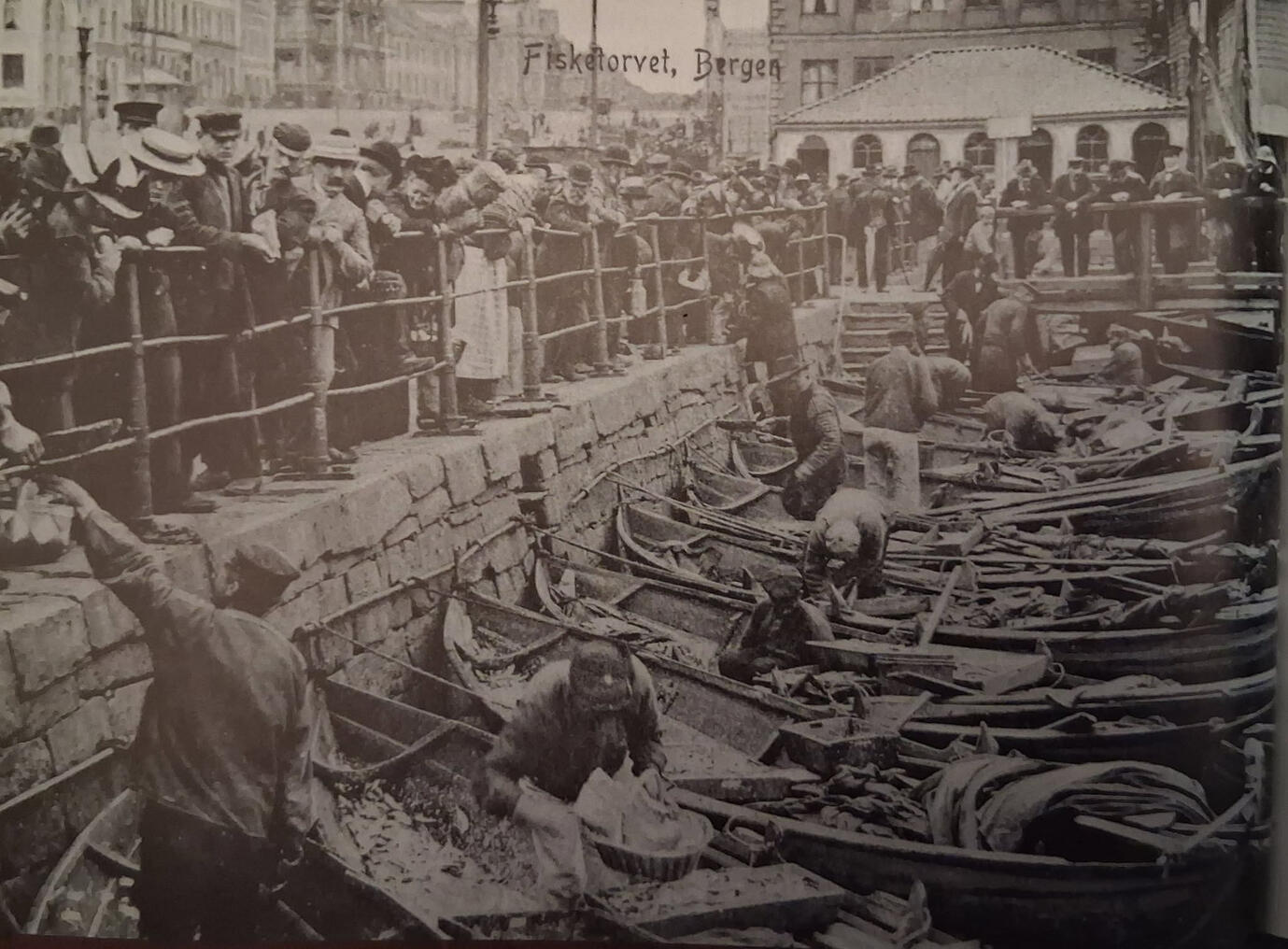 Postkort, Fisketorget